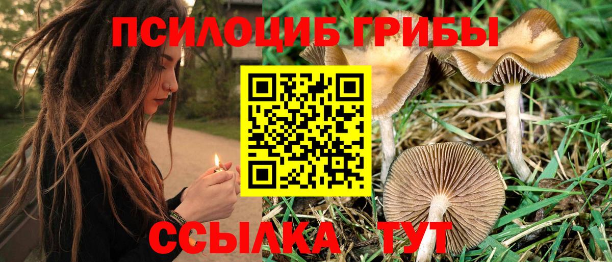Псилоцибиновые грибы Magic Shrooms Новозыбков