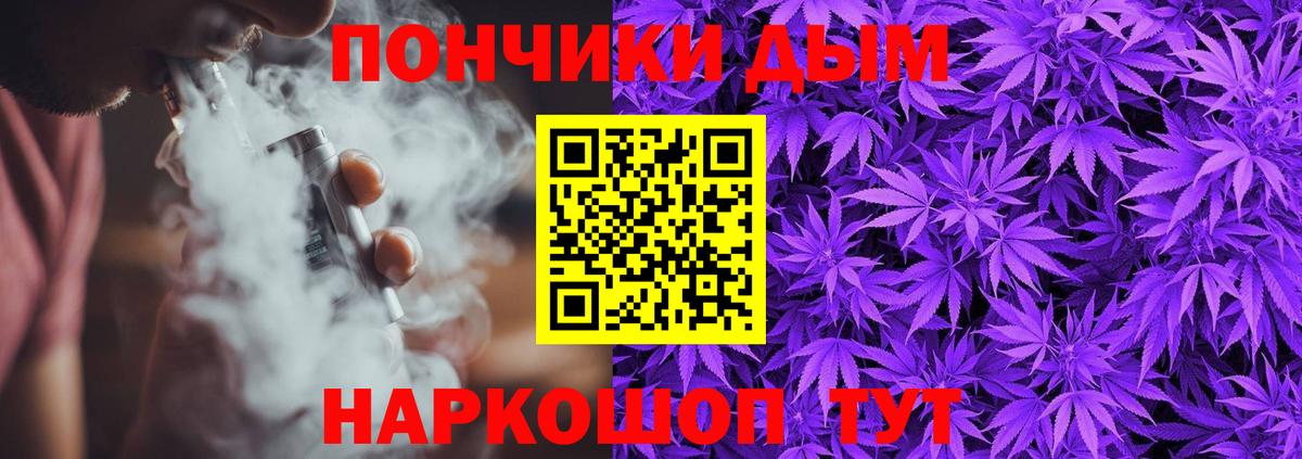 Шишки марихуана план  Канабис гибрид  МАРИХУАНА SATIVA & INDICA  Вход с VPN  Новозыбков 